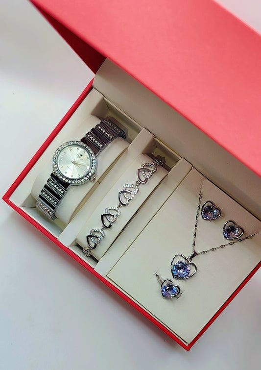 Luxury women's jewelry box silver model